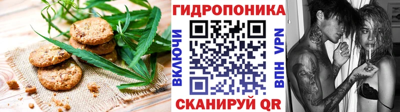 Cannafood конопля  ОМГ ОМГ   Михайлов 
