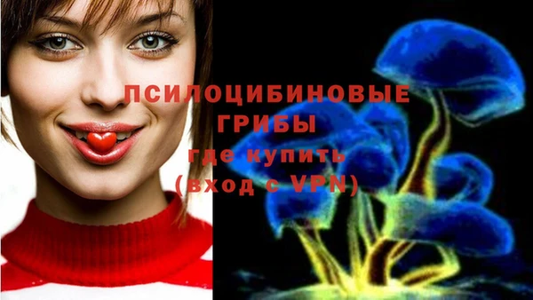 не бодяженный Белокуриха