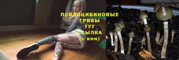 наркотики Беломорск