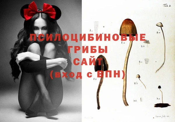 spice Богородск